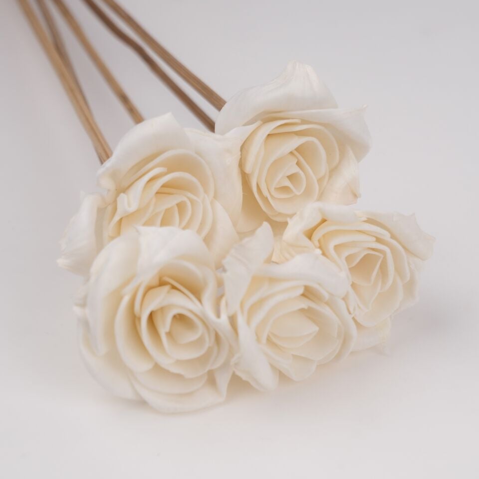 5'Lİ SOLA LOTUS BUDDY 6cm 50cm