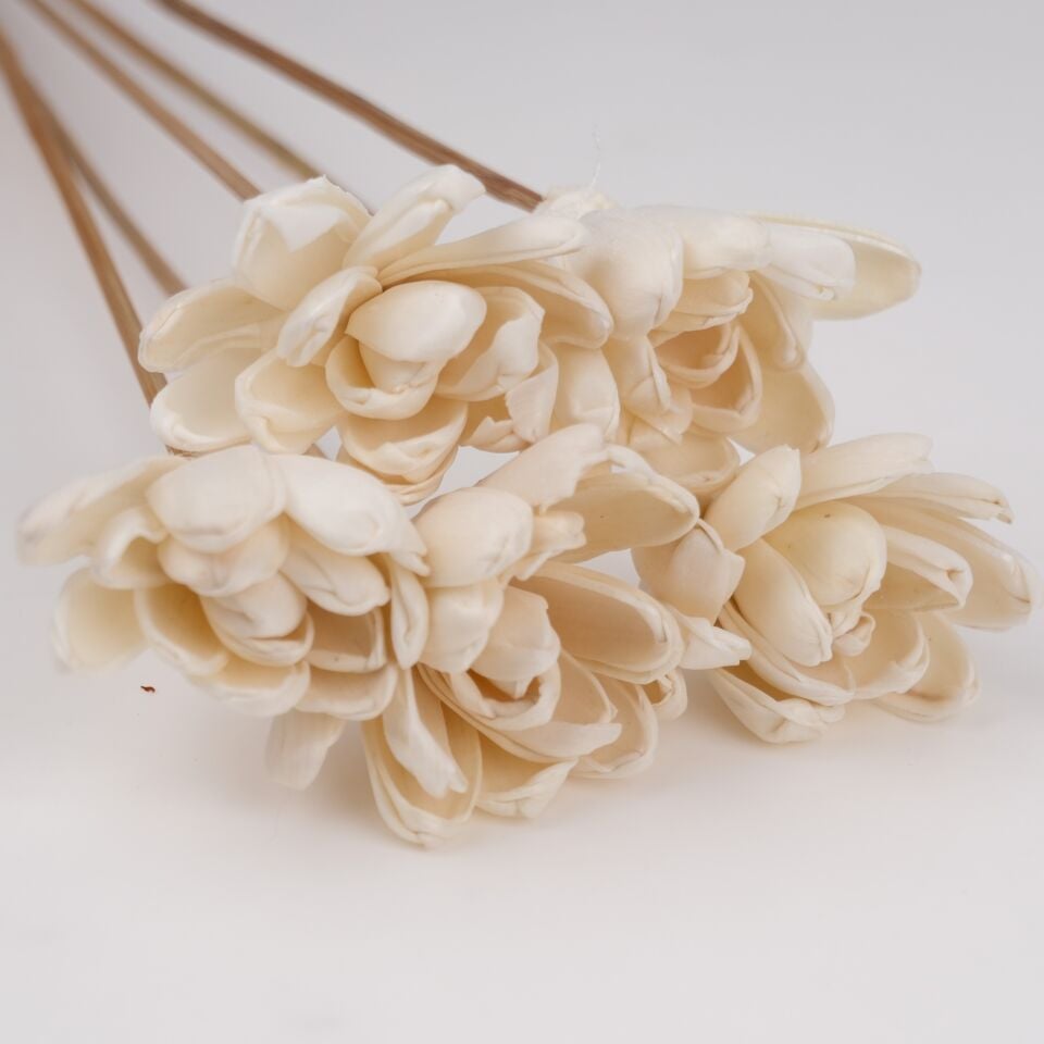 5'Lİ SOLA LUCCA GARDENIA FLOWER 50CM