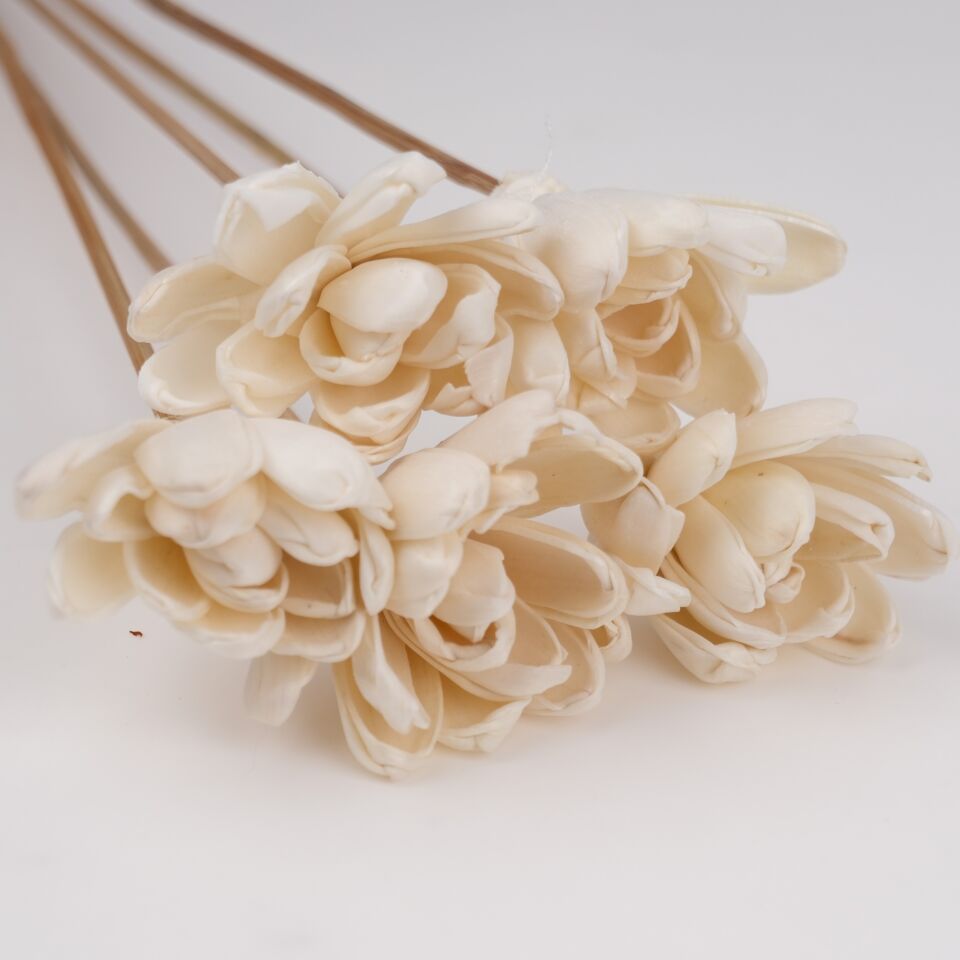 5'Lİ SOLA LUCCA GARDENIA FLOWER 50CM