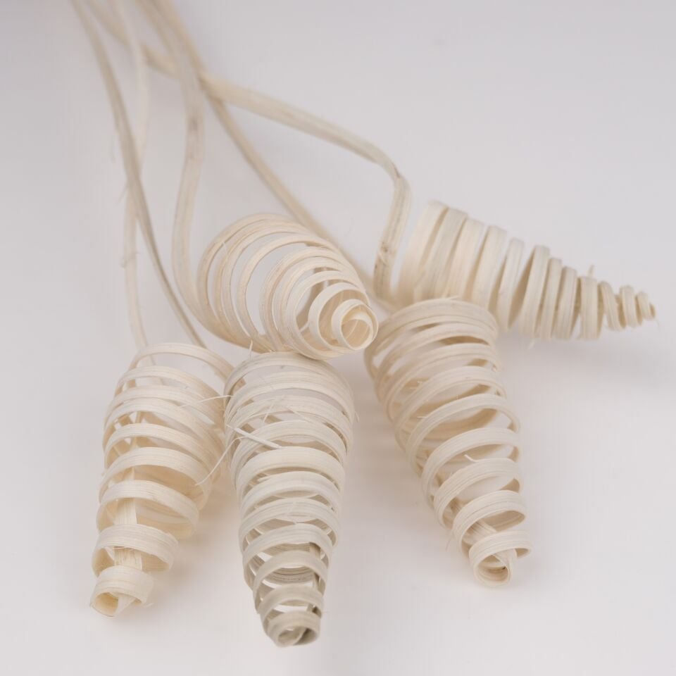 5'Lİ CANE CONE BLEACH