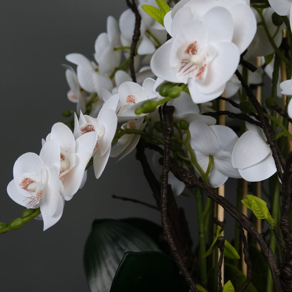 Eternal Orchid Artificial Tree — Yapay Dekor