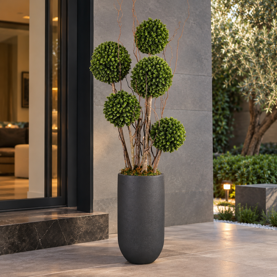 Verdant – Yeşil Top Şimşir Ağacı