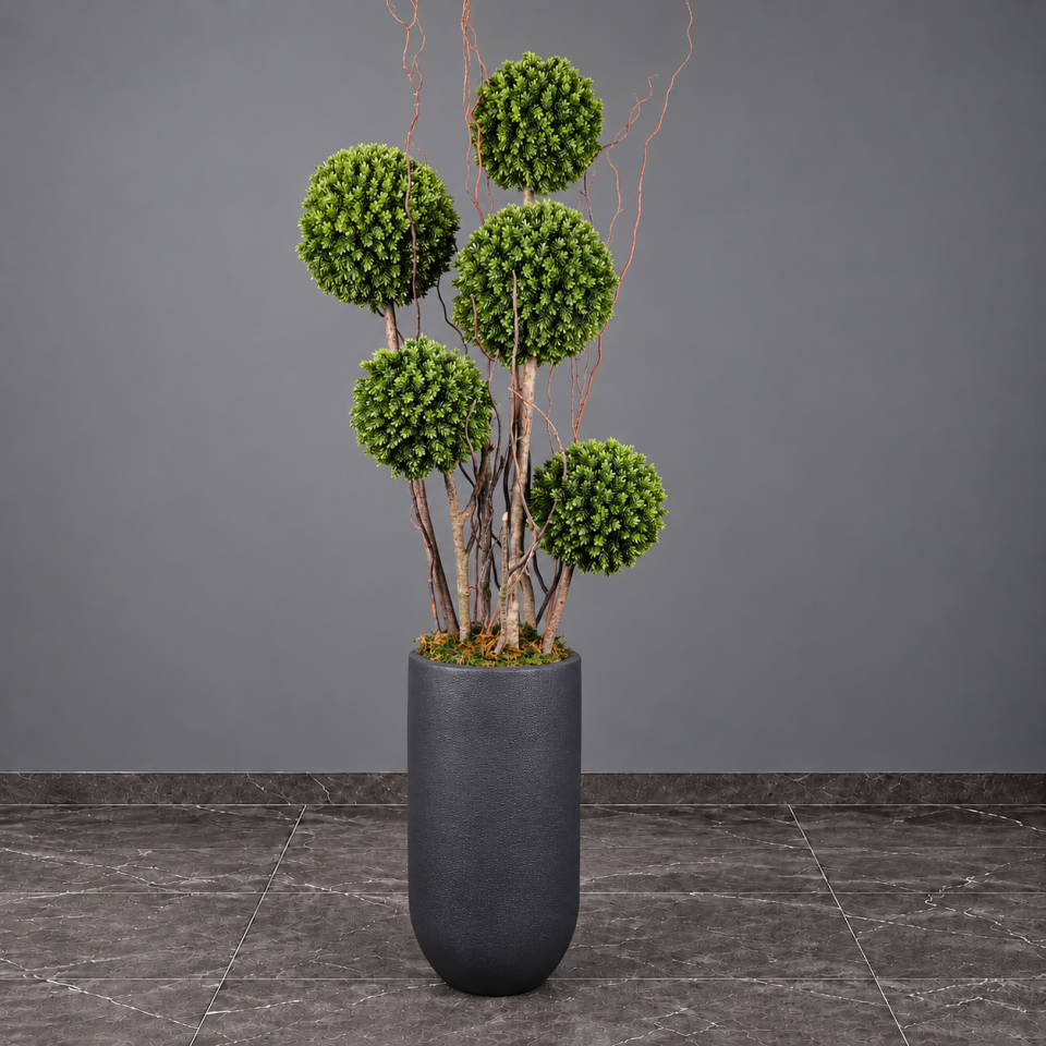 Verdant – Yeşil Top Şimşir Ağacı